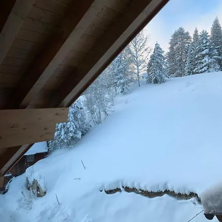 Landhaus Antonia Seefeld in Tirol Exterior photo